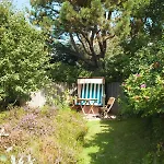 Enenhoog Strandläufer
